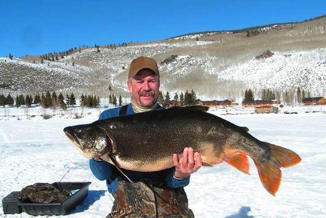 прогноз рыбалки в балаково