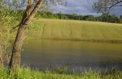 Выбор погоды