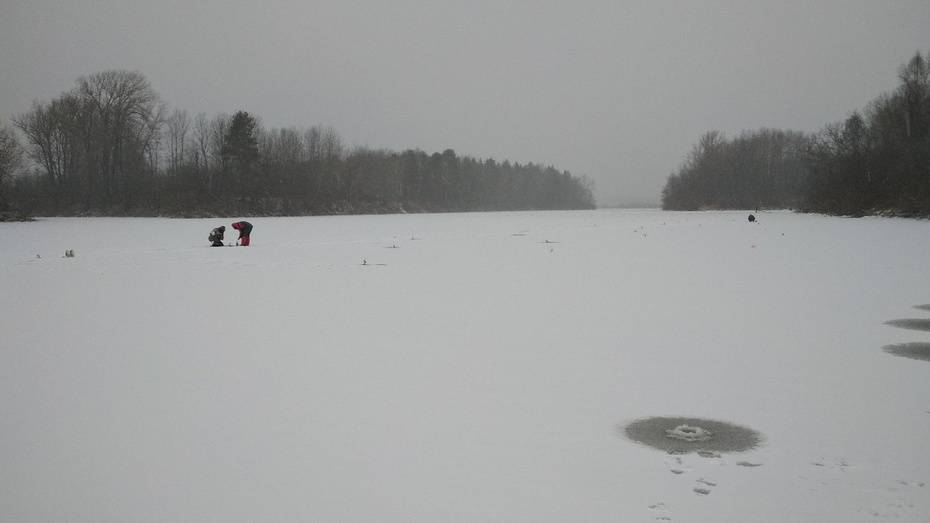 Нерестовый запрет 2020 кировская область. новый закон о рыбалке