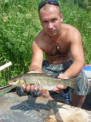 Как приготовить снаряжение к рыбалки в Псковской области