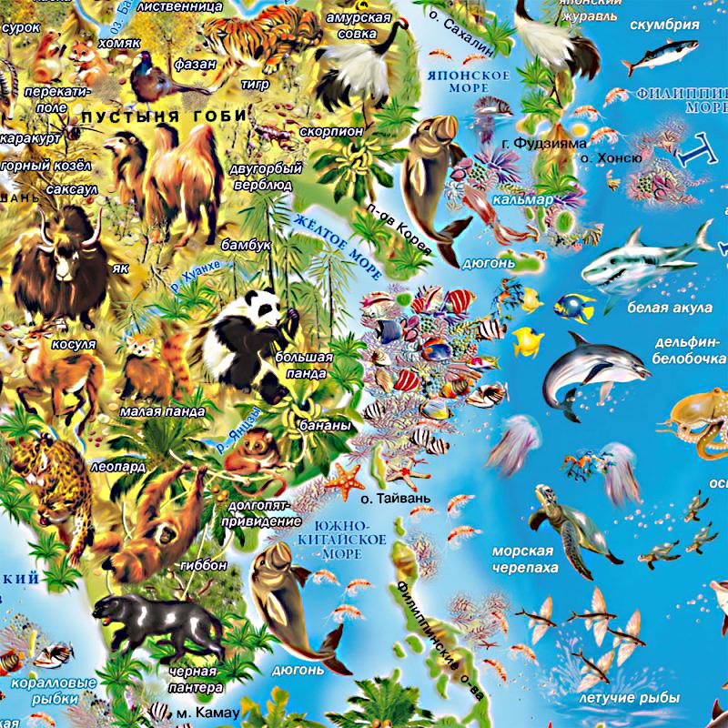 животный мир Китая