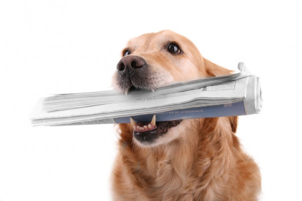 Блогер Хованский отказался признать распространение песни о Норд-Осте в Сети