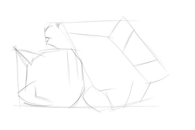 Игривый котенок