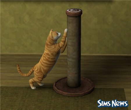 Кошки в The Sims 3 Питомцы