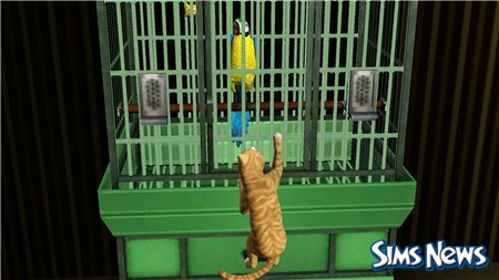 Кошки в The Sims 3 Питомцы