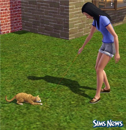 Кошки в The Sims 3 Питомцы