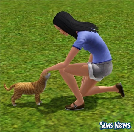 Кошки в The Sims 3 Питомцы