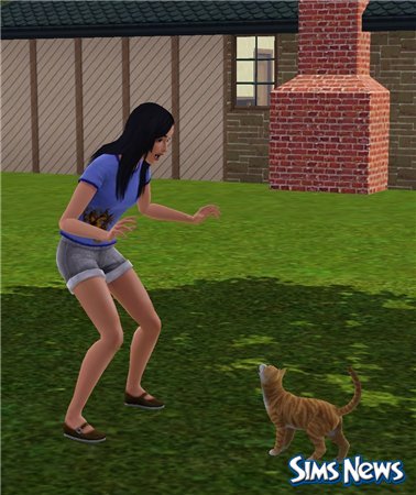 Кошки в The Sims 3 Питомцы