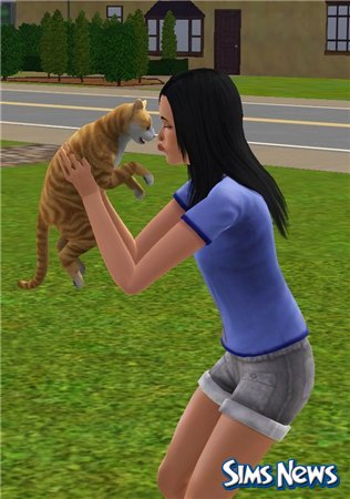 Кошки в The Sims 3 Питомцы