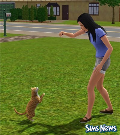 Кошки в The Sims 3 Питомцы