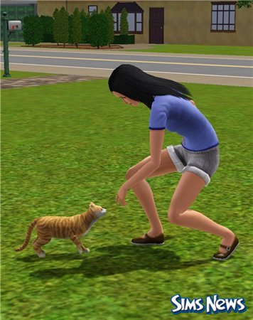 Кошки в The Sims 3 Питомцы