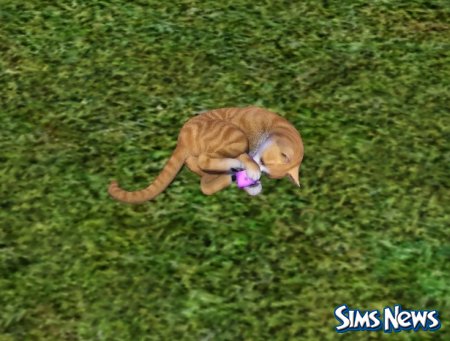 Кошки в The Sims 3 Питомцы