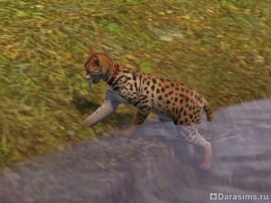 Навык охоты в «The Sims 3 Питомцы»