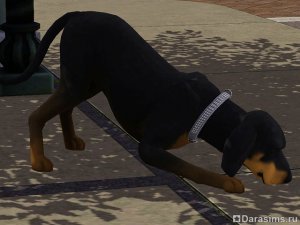 Навык охоты в &laquo;The Sims 3 Питомцы&raquo;