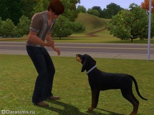 Навык охоты в «The Sims 3 Питомцы»