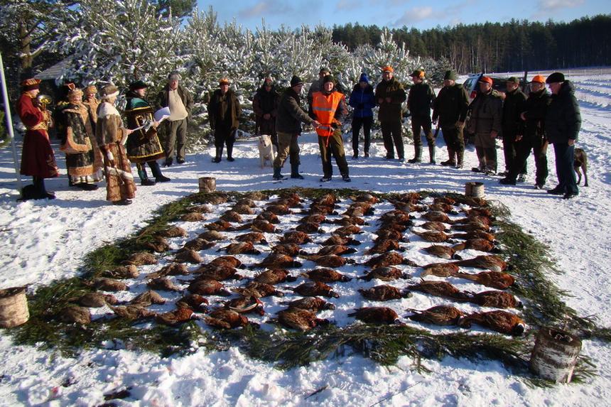 Сезон охоты на фазана