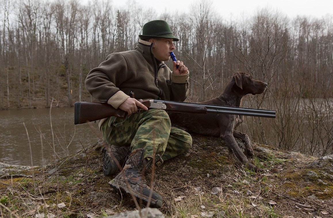 Охота на фазана с манком