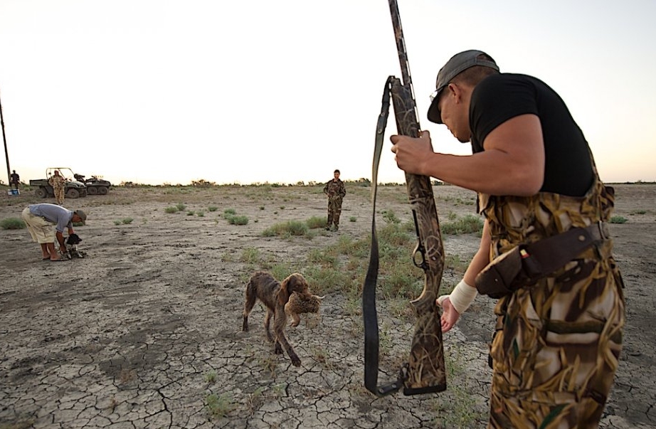 метод загона