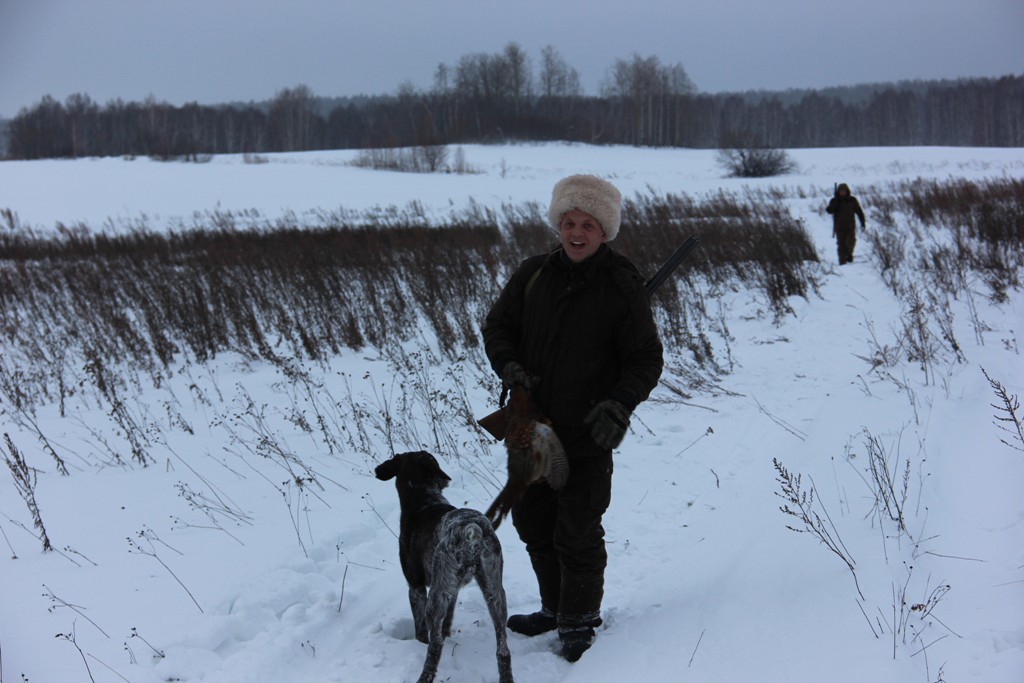охота на фазана зимой по снегу