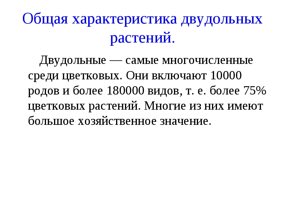 Общая характеристика двудольных растений. Двудольные — самые многочисленные.