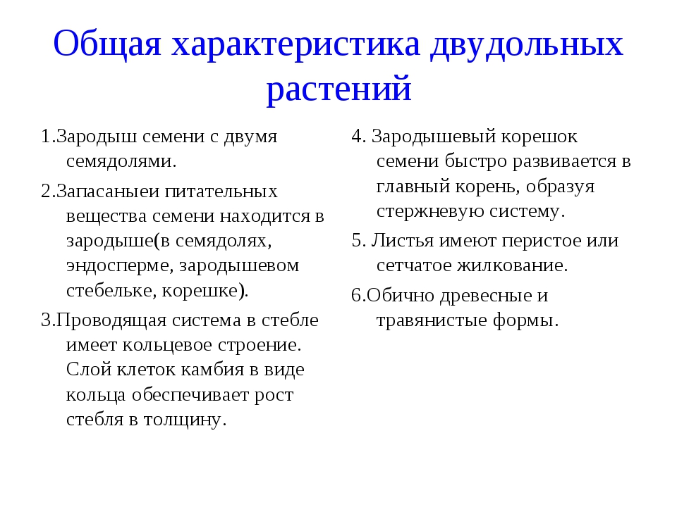 Общая характеристика двудольных растений 1.Зародыш семени с двумя семядолями.