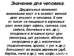 Значение для человека. Двудольные занимают важнейшее место в хозяйственной деяте