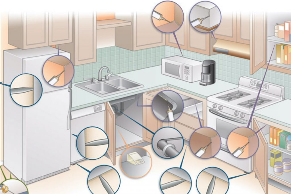 Кот съел таракана травля