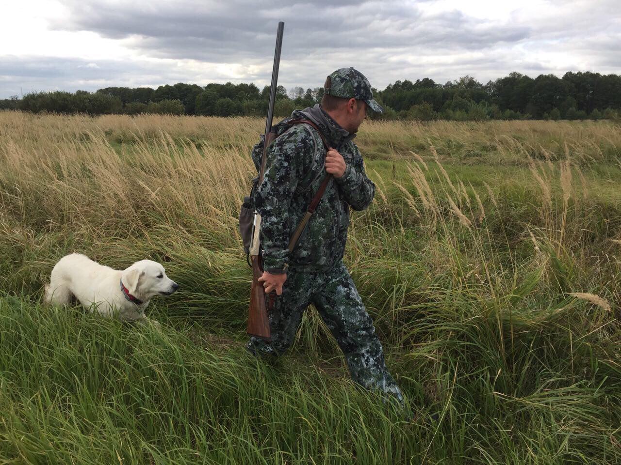 Охота на ворону с собакой