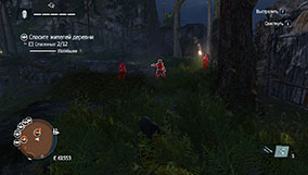 Прохождение Assassin's Creed Rogue - 4