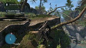 Прохождение Assassin's Creed Rogue - 4