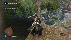 Прохождение Assassin's Creed Rogue - 4