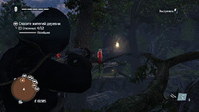 Прохождение Assassin's Creed Rogue - 4