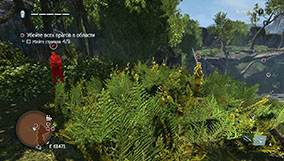 Прохождение Assassin's Creed Rogue - 4