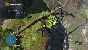 Прохождение Assassin's Creed Rogue - 4