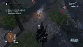 Прохождение Assassin's Creed Rogue - 4