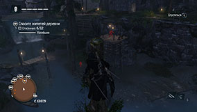 Прохождение Assassin's Creed Rogue - 4