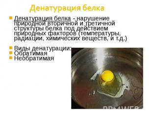Денатурация белка Денатурация белка - нарушение природной вторичной и третичной