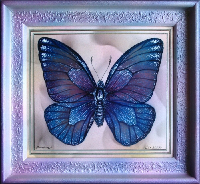 Бабочка Менелай - картина на зеркале