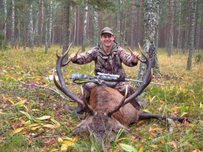 Особенности охоты на изюбря