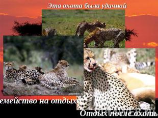 Эта охота была удачнойСемейство на отдыхе.Отдых после охоты