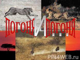 ПОГОНЯ
