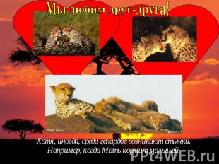 Мы любим друг-друга!