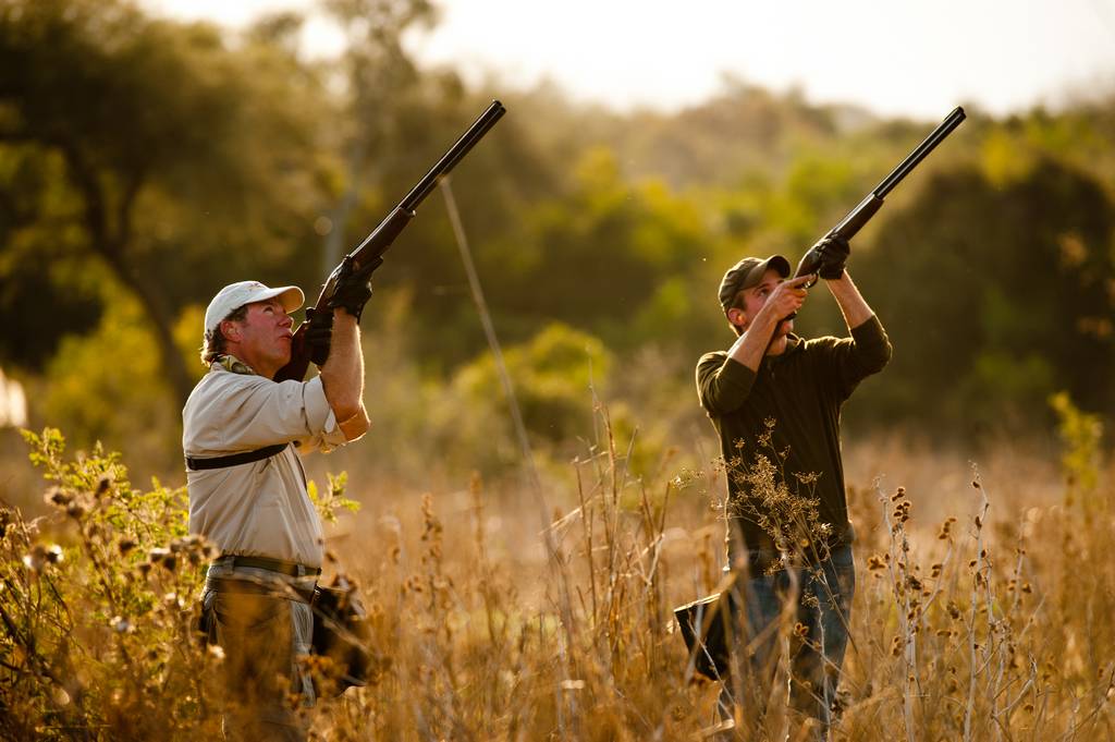Охотники стреляют в уток