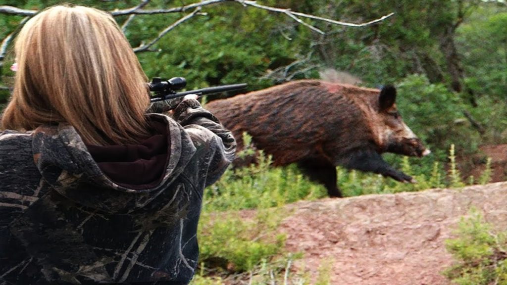 охота на кабана