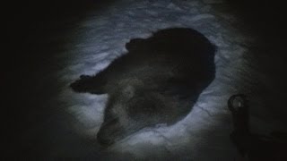 Охота на кабана:засидка-2(, 2014-02-14T13:39:34.000Z)