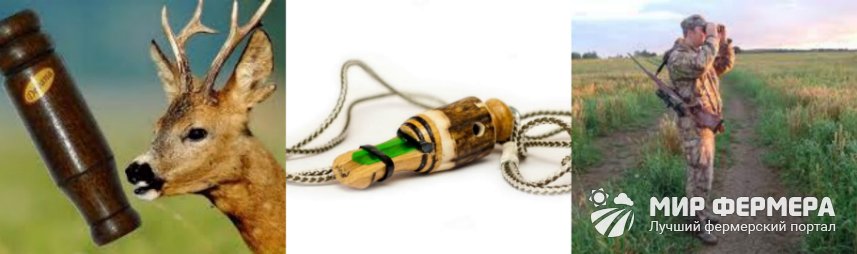 Манок на косулю