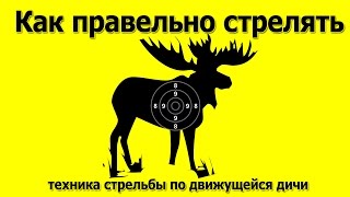 Как правильно стрелять по движущейся дичи(Как правильно стрелять по движущейся дичи? Этот вопрос подымался много раз среди охотников. В первую очеред. 2014-09-29T18:58:57.000Z)