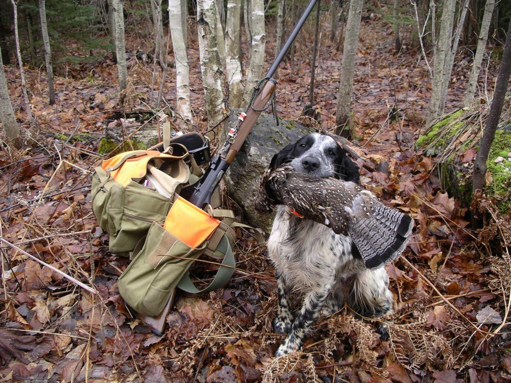 результаты хорошей охоты