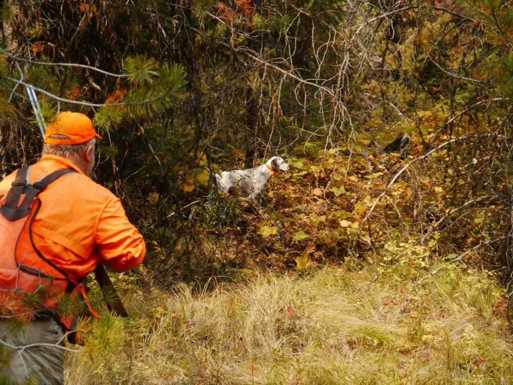 во время охоты