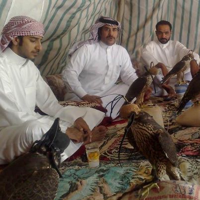 Соколиная охота на ближнем востоке